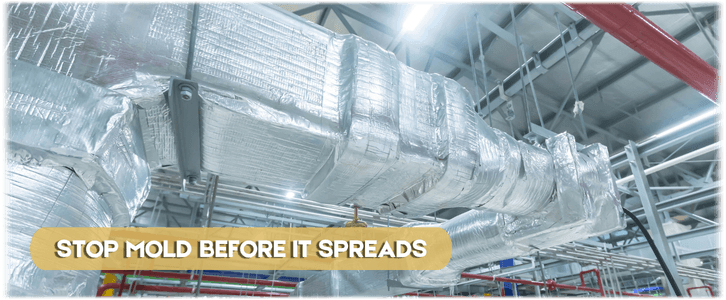 Air Duct Mold Removal in Manalapan NJ