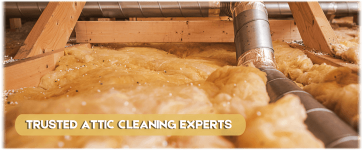 Attic Cleaning Manalapan NJ